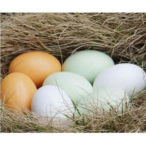 }b`OGbO m炨 ^͂ `F @킢@ qp ؐ  yCg tFCN  Aq k vCnEX