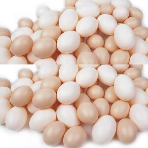 }b`OGbO m炨 ^͂ `F @킢@ tFCN  {   V~[V Aq q V  ct G   Ԃ k