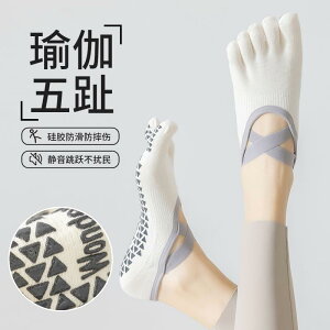 C ~ g[jO fB[X@\bNX@MX p K 5{ w \bNX v X|[cp ~ Ȃ ėp Xvbg gD NX Xgbv tBbglX 