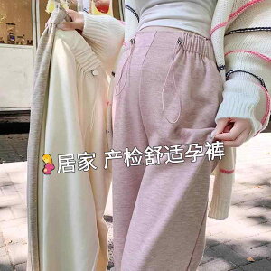 }^jeB r r  Dw Dwp@pc@MX Dwp Ch bO pc tH 2025N JWA 200|h 傫TCY Dw  Oop Ȃ Xg[g