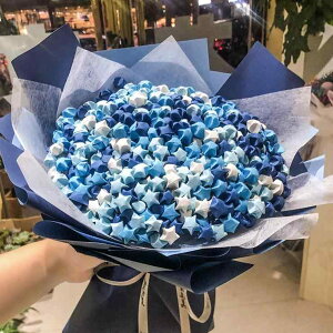 LL 킢 Jt ANZT[@wA@G  ^ u[P DIY ޗ pbP[W bL[ X^[ Of[V  ς ܂莆  i 520 ޏւ v[g