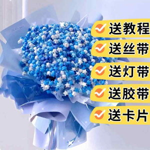 LL 킢 Jt ANZT[@wA@G  u[P DIY  f ގ ޏ o^C f[ a v[g