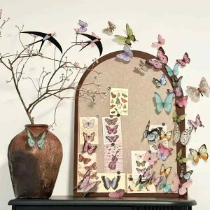 fR[V ANX^[r[Y LL ANZT[@wA@G PVC   Ղ ANZT[ J[h ԑ  Jt t[Vbv pi