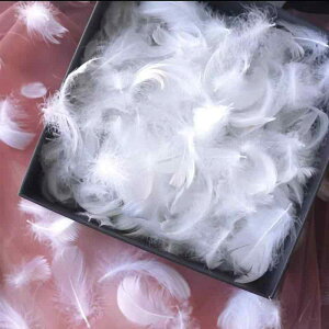 fR[V ANX^[r[Y LL wA@ANZT[@fB[X I Jt H l  Mtg  ޗ y   }`bN g