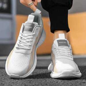 K JWAV[Y ig tbg\[ Xbp@V[Y@JWA 傫TCYY V[Y t Y ʋC bV JWA 46 jO 47 y \tg \[