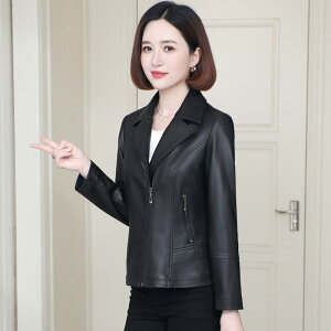 ؍ WPbg  ꂢ Vu ̌^Jo[ fB[X@R[g@WPbg v WPbg fB[X R[g H 2024 ubN V[vXL C J oCN  V[g g