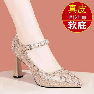 C r ₷ EGfBOV[Y uC_V[Y nCq[@V[Y@fB[X w v i t CXg[ nCq[ p[eB[ V[Y  2024 t@