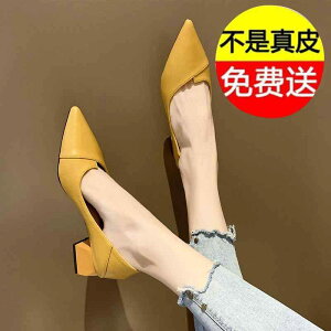 C r ₷ EGfBOV[Y uC_V[Y nCq[@V[Y@fB[X  _炩 v Cɂ C p 2025 tH ~bh q[  q[ v 