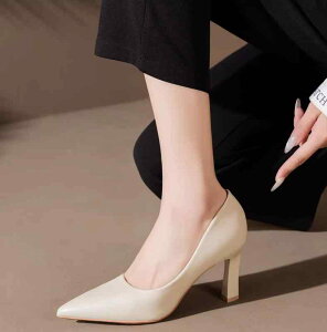 C r ₷ EGfBOV[Y uC_V[Y nCq[@V[Y@fB[X It zCg  nCq[ V[Y p 2024H \  ܐ ɂ