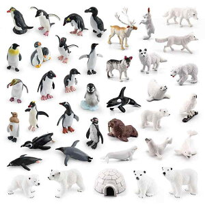 킢  ANZT[ 蕨 @zr[@ 쐶 k  yM zbLNO} giJC   CO[ Zbg i V~[V q F