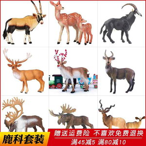 킢  ANZT[ 蕨 @zr[@ ͋[ 쐶  giJC  jz WJ NJ[ AJ VJ q Ȋw  Fm `xbg Ae[v