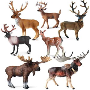 킢  ANZT[ 蕨 @zr[@ q ͋[ X  \bh wWJ j AJ VJ giJC IWWJ  NX}XI[ig