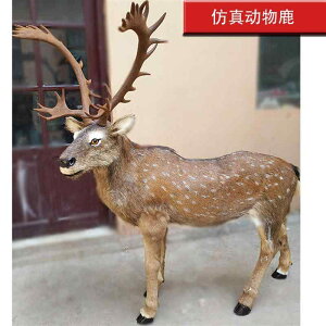 킢  ANZT[ 蕨 @zr[@ V~[V   NX}X jz WJ giJC wWJ i ^  W{ H