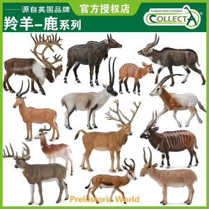 킢  ANZT[ 蕨 @zr[@ CMX CollectA I Ȃ  쐶   X ͌^ ߋ Fm Ae[v giJC RNV