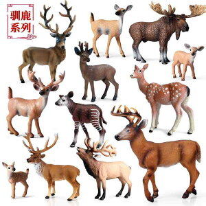 킢  ANZT[ 蕨 @zr[@ V~[V 쐶   Zbg IWWJ VJ wWJ NX}X qp Mtg 