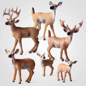 킢  ANZT[ 蕨 @zr[@ qp V~[V 쐶 IWWJ  wWJ VJ \bh I[igZbg NX}X 