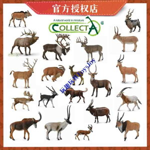 킢  ANZT[ 蕨 @zr[@   Collecta 쐶   V~[V L  JVJ