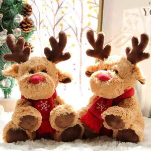 킢  ANZT[ 蕨 @@킢 킢 wWJ l` ʂ giJC Oh[ NX}XCu ̎qւ NX}X v[g