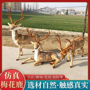 킢  ANZT[ 蕨 @@킢 V~[V jz WJ  є  O   Ȃ  NX}X 