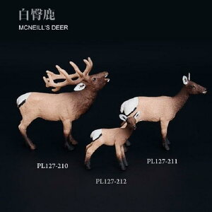 킢  ANZT[ 蕨 @@킢 쐶 giJC q   qbv  jz WJ AJ VJ wWJ  ͌^ q  V~[