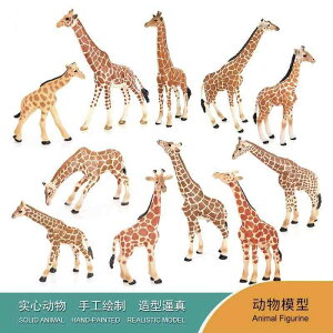 킢  ANZT[ 蕨 @@킢 qp ͌^ 쐶   i  L wWJ AJ VJ giJC