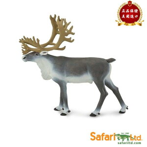 킢  ANZT[ 蕨 @@킢 Safari Ltd AJ giJC p   qp  182229