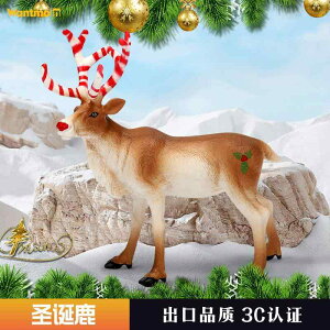 킢  ANZT[ 蕨 @@킢 NX}X v[g q  V~[V 쐶  giJC wWJ IWWJ qp Fm u