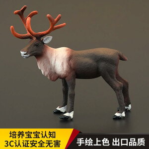 킢  ANZT[ 蕨 @zr[@ q ő V~[V   쐶  giJC p  NX}X giJC Fm Mtg