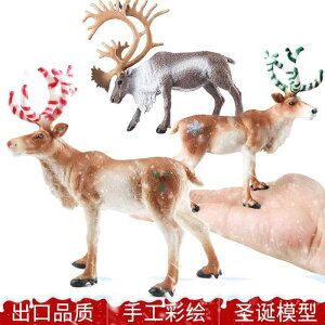 킢  ANZT[ 蕨 @zr[@ ő qp V~[V  NX}X giJC j wWJ IWWJ Fm ߋ i