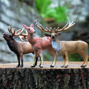 킢  ANZT[ 蕨 @@킢 AJ VJ jz WJ giJC  V~[V  쐶 vX`bN i q  }CN V[