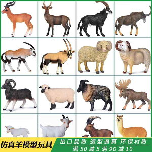 킢  ANZT[ 蕨 @@킢 V~[V 쐶  JVJ  M r giJC A K Zbg q Ȋw  Fm Mtg