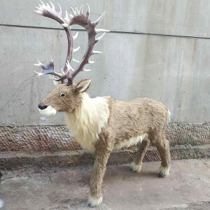 킢  ANZT[ 蕨 @@킢 傫 NX}X  V~[V  wWJ giJC  CAEg i