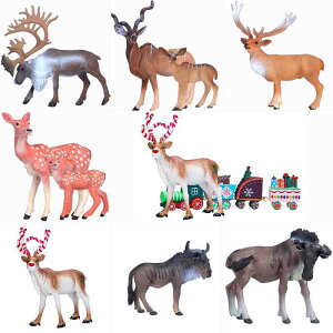 킢  ANZT[ 蕨 @@킢 쐶  V~[V k[  JVJ AJ VJVJ giJC q Ȋw  Fm Mtg