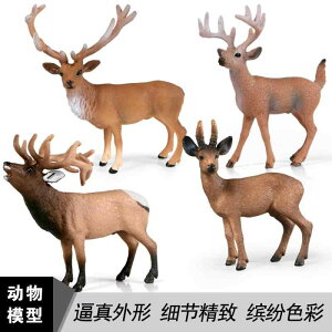 킢  ANZT[ 蕨 @@킢 q j̎q ̎q Mtg V~[V   Y AJ VJVJ giJC V[  vX`b