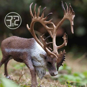 킢  ANZT[ 蕨 @@킢 k AJ giJC CollectA I Ȃ  V~[V 쐶  ߋ  88709