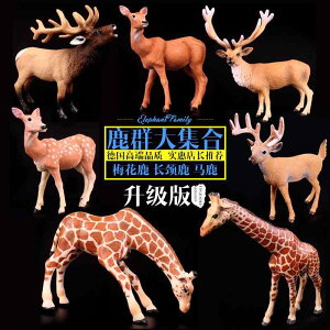 킢  ANZT[ 蕨 @@킢 q Mtg V~[V 쐶   Zbg giJC L wWJ wWJ } p 