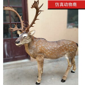 킢  ANZT[ 蕨 @@킢 V~[V   NX}X jz WJ giJC wWJ i ^  W{ 