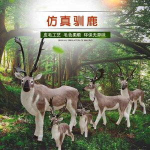 킢  ANZT[ 蕨 @@킢 V~[V giJC jz WJ i  W{ fXNgbvEBhE   NX}X wWJ 