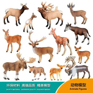 킢  ANZT[ 蕨 @@킢 q 蕨 qp \bh V~[V 쐶   Zbg giJC L wWJ