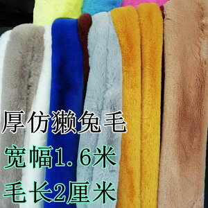 ڒ AC @ f z@n@n@ 傫 є ʂ n 2 cm Í  tFCN bNX ETM ݂ C ʂ݂ n 