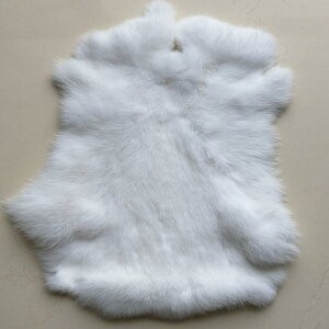 hJ by 킢 z@n@n@ ETM  є S bNX U[ ؂ ςȂ  G  Ci[ f