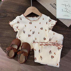 Ȃ  킢 JWA Ԃ@pW}@xr[ xr[    _[     pW} 1  c  X[c