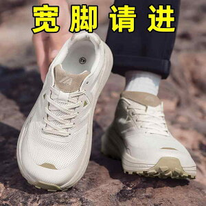 tBbglXV[Y y  W V[Y@jO@X|[c ʋC  傫     ܂ Ch wbh JWA YV[Y 47 Xg 48 傫T