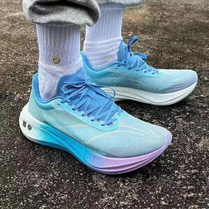 tBbglXV[Y y  W V[Y@jO@X|[c tFC fBA 3 `W[ Y fB[X X|[c V[Y 2024 H~ Y ʋC   v