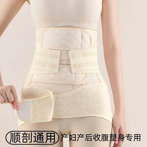 Y  y ʋC Lk @T|[g@xg@fB[X@}^jeB Y p   tp  ʋC 傫TCY S 鉤 ؊J p ×p