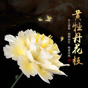 @G݁@i@  `  Y    O   nI  ԕr 