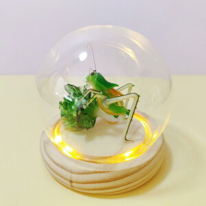 @G݁@i@  g  ?  F  NX}X c[   LMX  Mtg yY