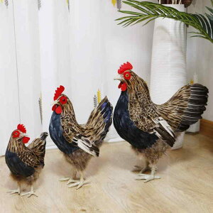 IuWF a G  @zr[@G݁@i 傫 { ͌^ V~[V i ʐ^ Bep  H  tFCN {Ƃ K^