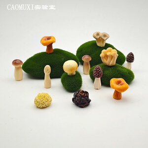 ؐߋ kG CeA u @@zr[  zr[ V~[V A  Hi ߋ LmR ő A~KT^P l` }CN i  ~j