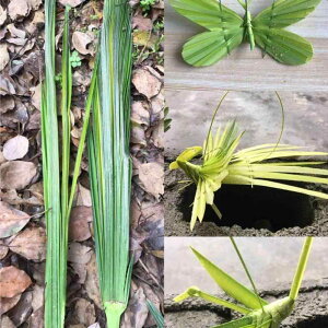 qǂ u 킢 CeA  zr[  zr[ V ҂  w  |  ޗ pbP[W `  H| DIY h